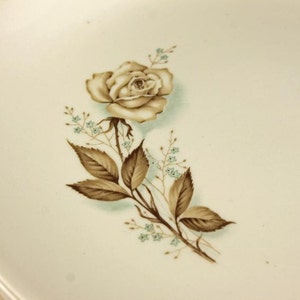 Mount Clemens, Bread and Butter Plates, Brown Rose, Hard to Find Pattern, Floral Pattern, Set of 4 image 4