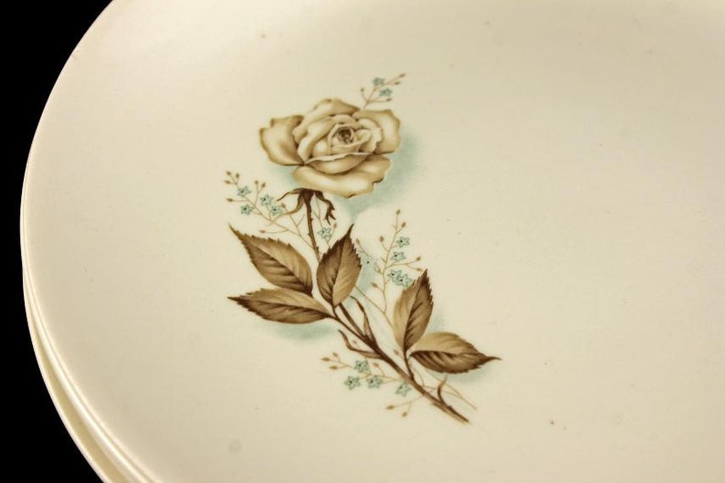 Mount Clemens, Bread and Butter Plates, Brown Rose, Hard to Find Pattern, Floral Pattern, Set of 4 image 4