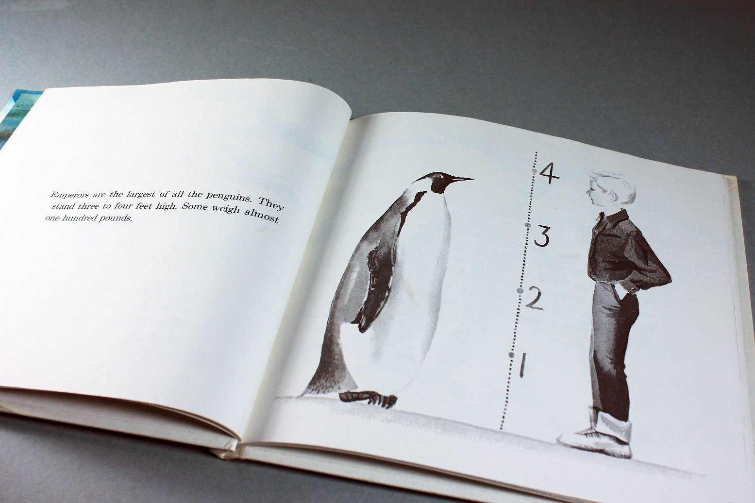 1969 Children's Hardcover Book, the Emperor Penguins, Kazue Mizumura,  Science, Non Fiction, Zoology, Ornithology, Illustrated, Collectable 