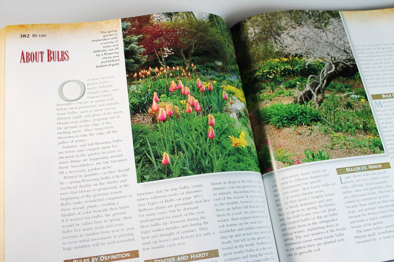 May include: A close-up of a book page with the title "About Bulbs" and a photo of a garden with pink and yellow tulips. The text discusses the importance of planting bulbs in the fall and how they provide a beautiful display of color in the spring.