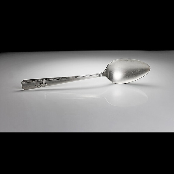 Serving Spoon, Prestige Silver Plate, Oneida Grenoble, Discontinued, 8 Inch