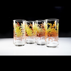 May include: Four clear drinking glasses with a botanical design. The glasses feature a pattern of yellow, orange, and red fern-like leaves. The glasses are cylindrical and sit on a white surface against a black background.