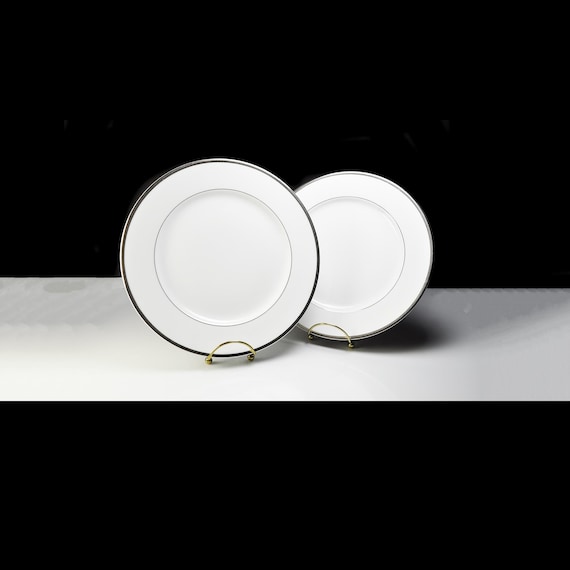 Rosenthal Nobility Dinner Plates – Set of 2 Vintage German China with Platinum Trim - 10 Inch