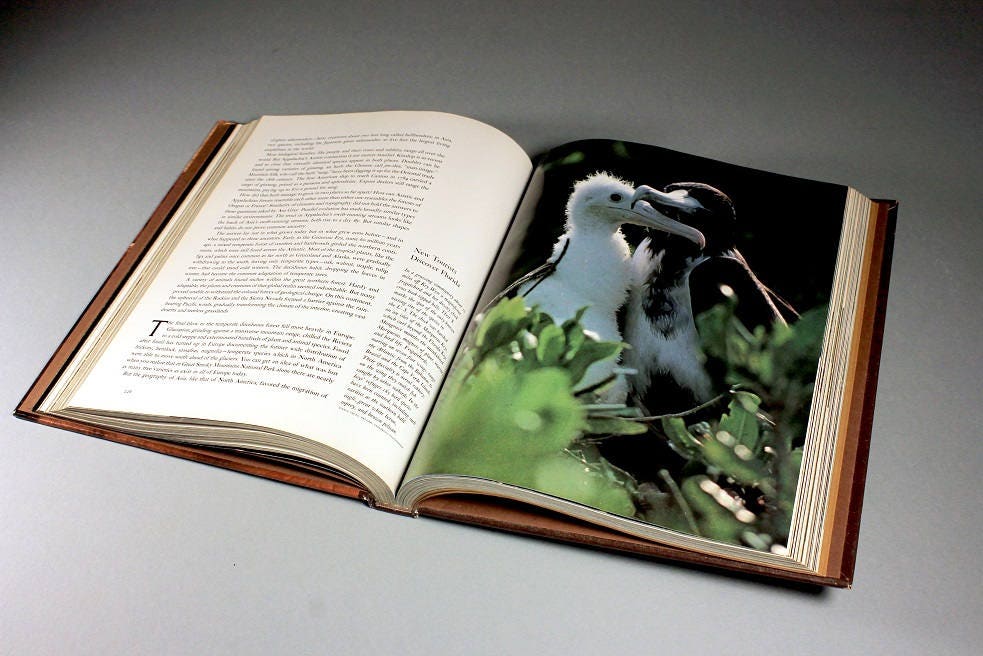 History Coffee Table Books / COFFEE TABLE BOOK- TEMPLES OF GOA on Behance - Art is reflected by history and vice versa.