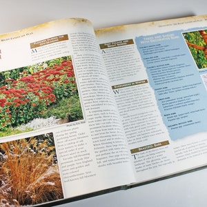 May include: A book open to a page about planning for color in fall and winter. The page features a photo of a garden with red flowers and a photo of a garden with brown grasses. The next page features a list of trees and shrubs with decorative bark.