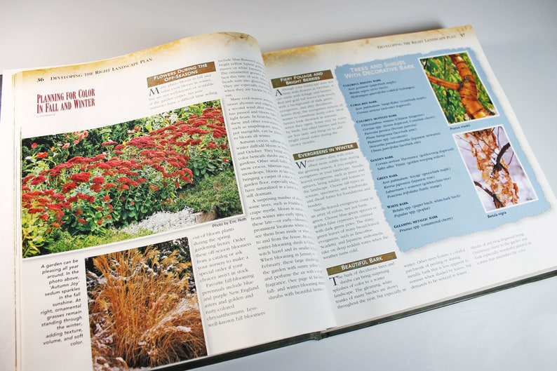 May include: A book open to a page about planning for color in fall and winter. The page features a photo of a garden with red flowers and a photo of a garden with brown grasses. The next page features a list of trees and shrubs with decorative bark.