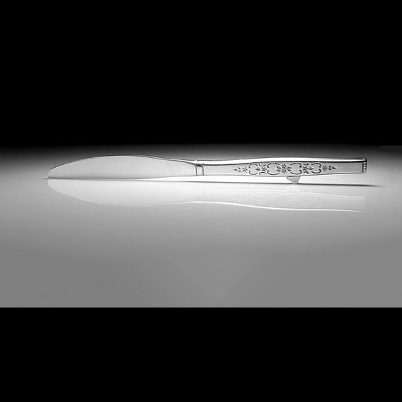 Wm. A. Rogers Oneida Spanada Dinner Knife – Stainless Flatware, 1960s Floral Scroll Pattern