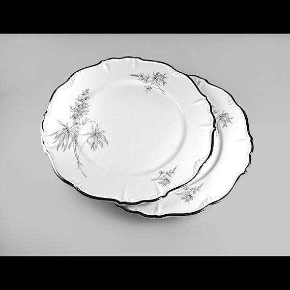 Set of two vintage Towne Fine China dinner plates in the Cotillion pattern, Bavaria Germany