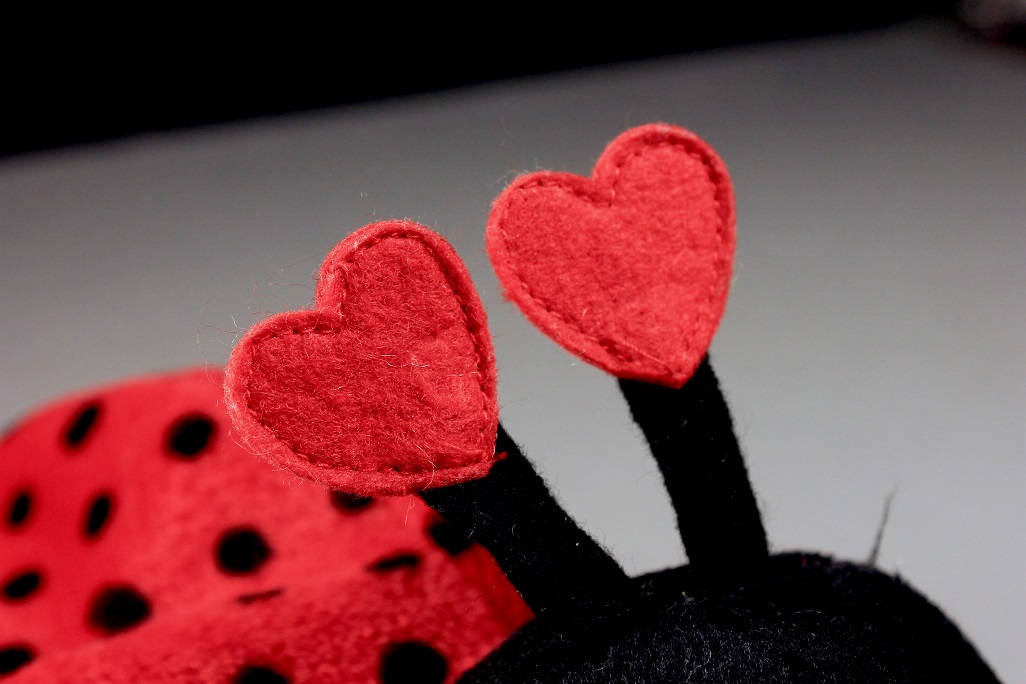 Russ Ladybug, Valentine's Day Gift, Plush Animal, Plush Lady Bug, Red and Black, Heart Antennae