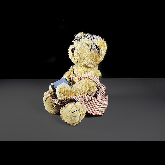 Artisan Flair Teddy Bear - Teacher Theme, 12 Inch Plush Collectible in Sitting Position, Miss Elle's Collection - Display Bear