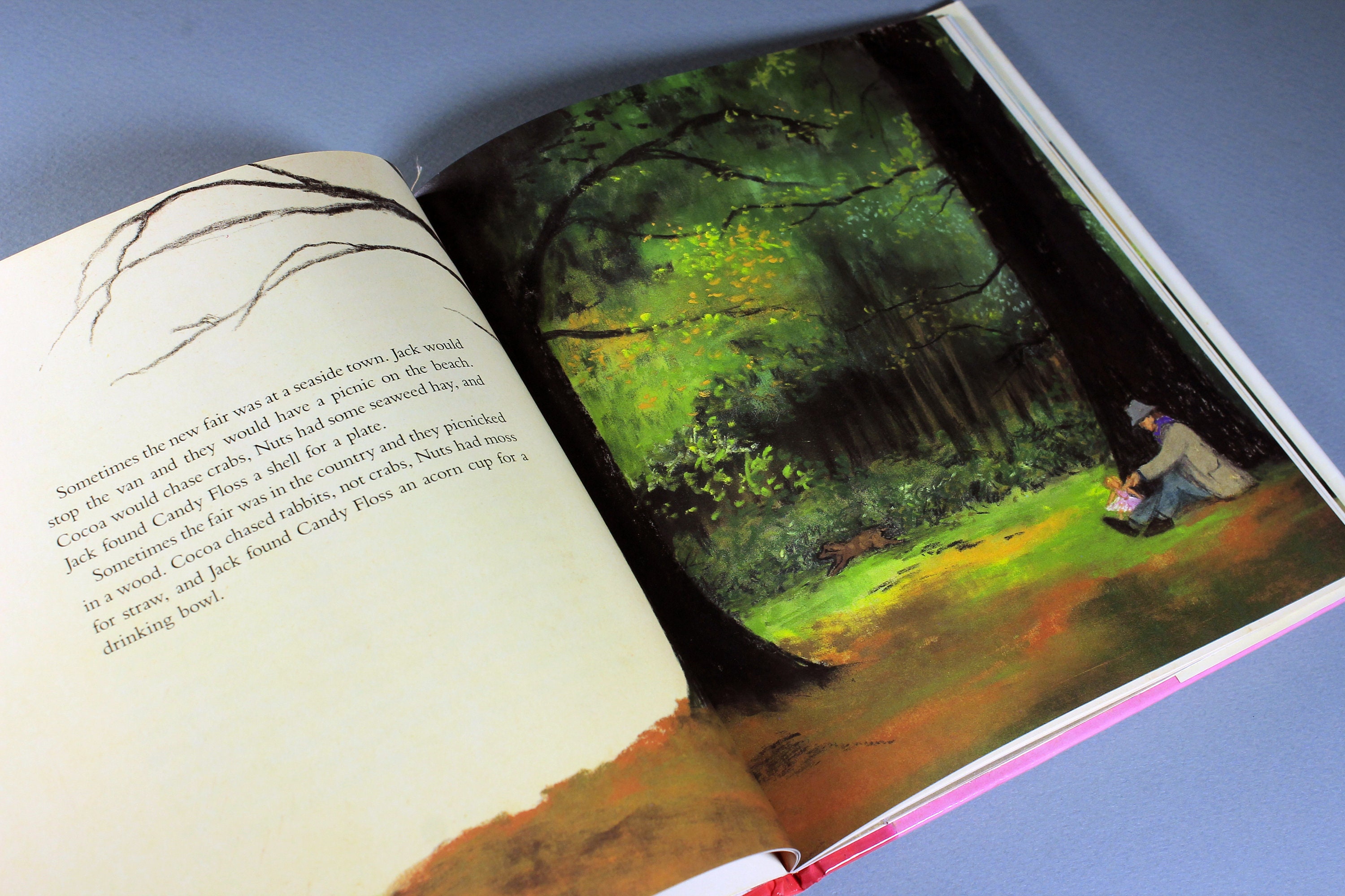 Children's Hardcover Book, Candy Floss, Rumer Godden, Fiction