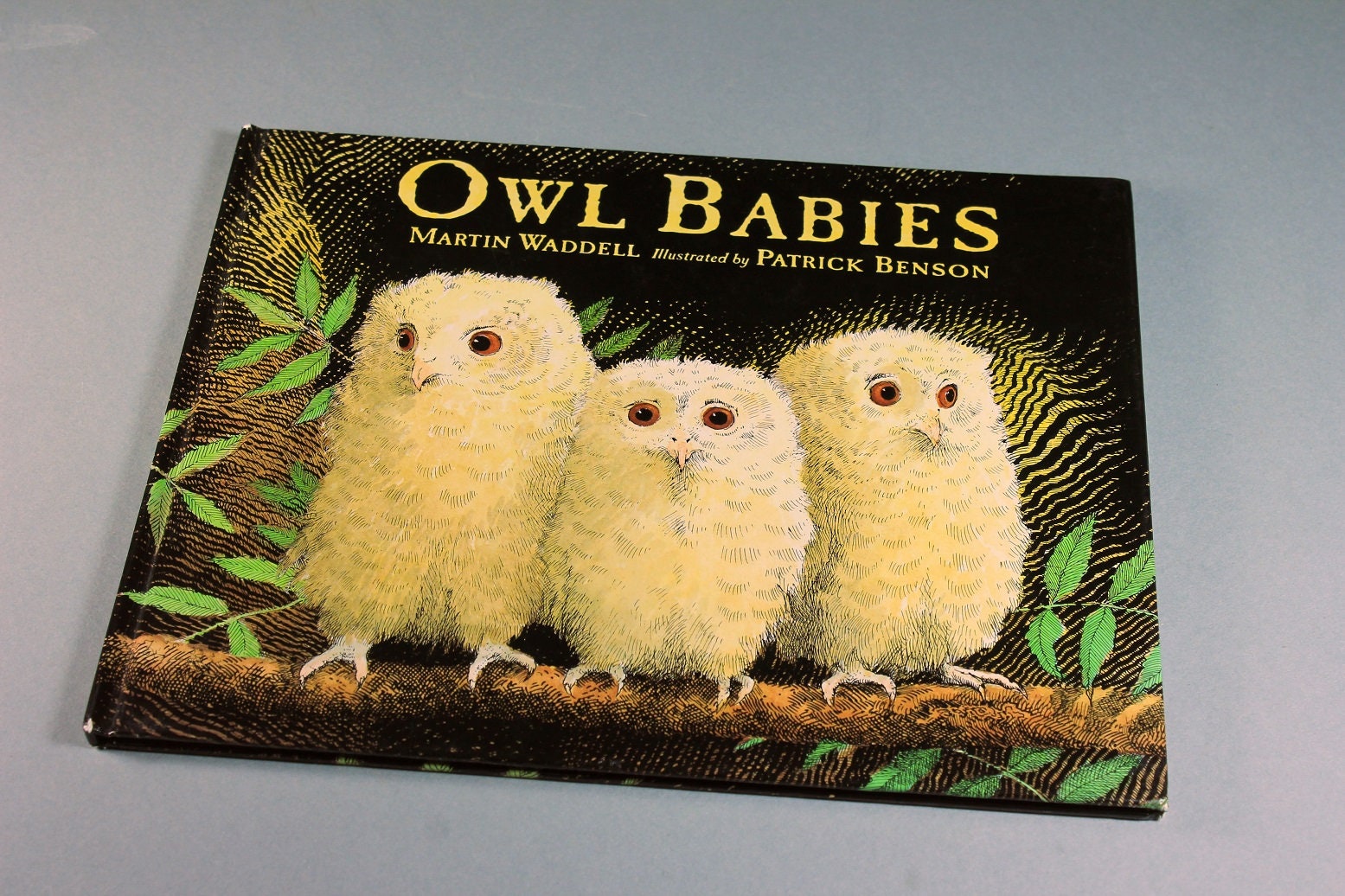 Children's Hardcover Book, Owl Babies, Martin Waddell, First