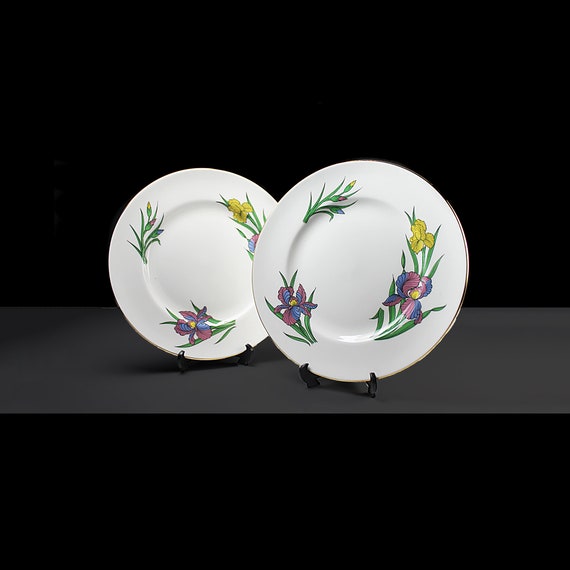 Salad Plates, Staffordshire England, Iris, Set of 2, Cake Plates, Sandwich Plates, Dessert Plates