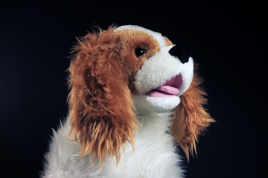 stuffed king charles cavalier