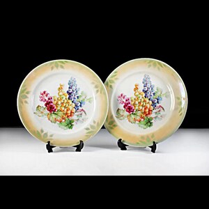 Platos de ensalada antiguos, Altenburg China Alemania, porcelana fina, conjunto de 2, patrón de uva, pintado a mano