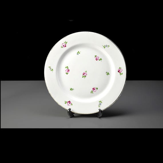Antique H&Co Selb Bavaria Rosebud Plate, Bavarian Porcelain