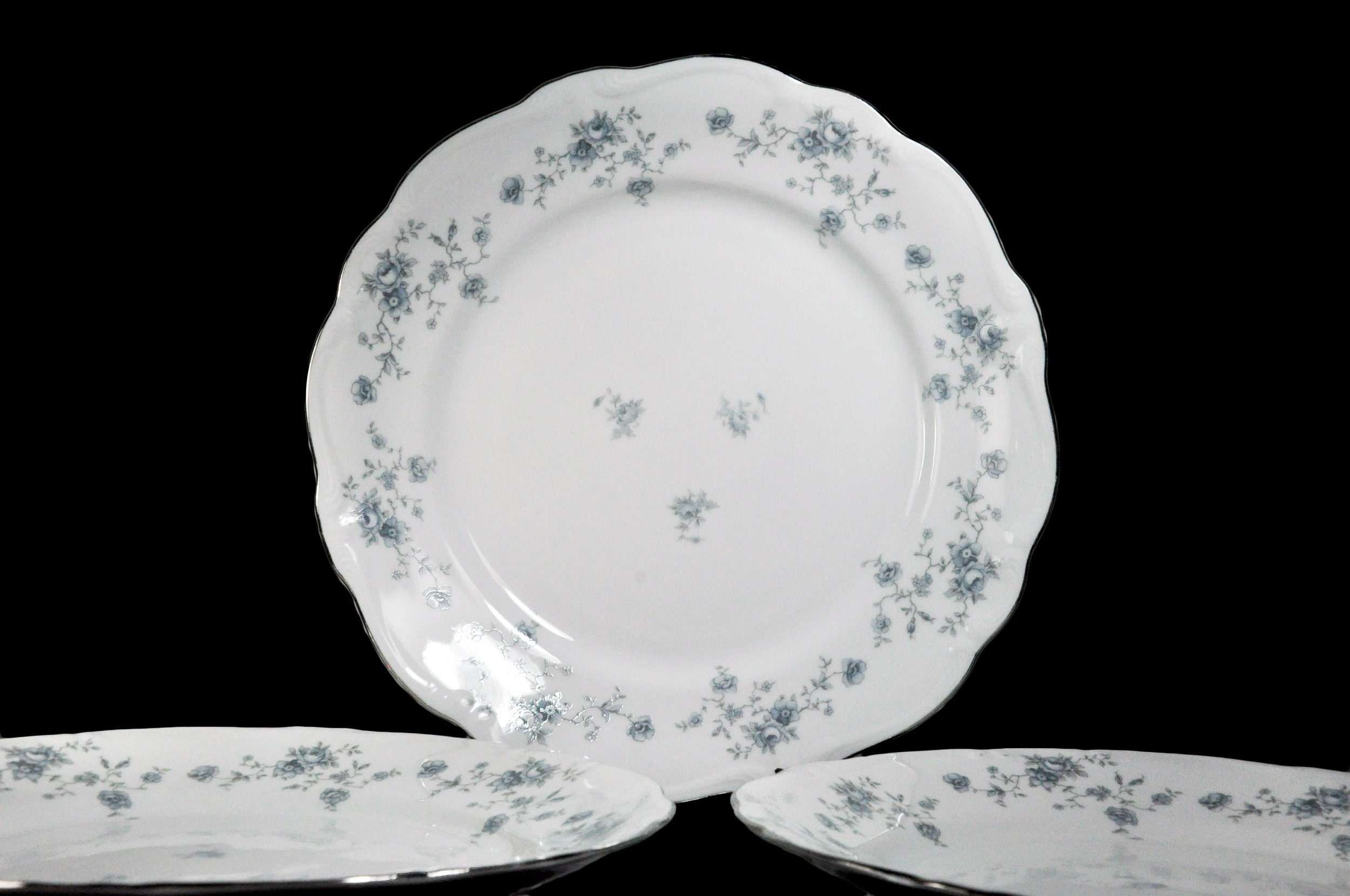 Johann Haviland Bavaria Patterns 65 - zpucxbr
