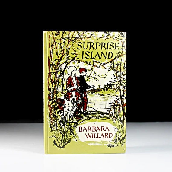 Children's Hardcover Book, Surprise Island, Barbara Willard, Fiction, Childrens Adventure, Weekly Reader Book, Collectible, Illustrated