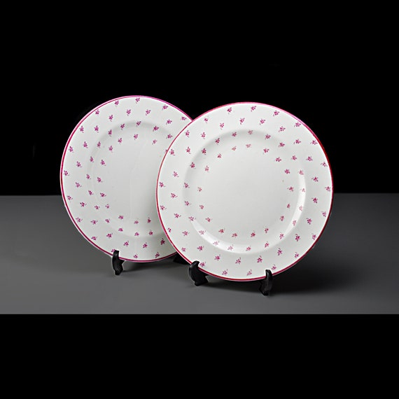 Antique Bread and Butter Plates by Allerton, Ivy Leaf (Pink), Old English Bone China - Set of 2
