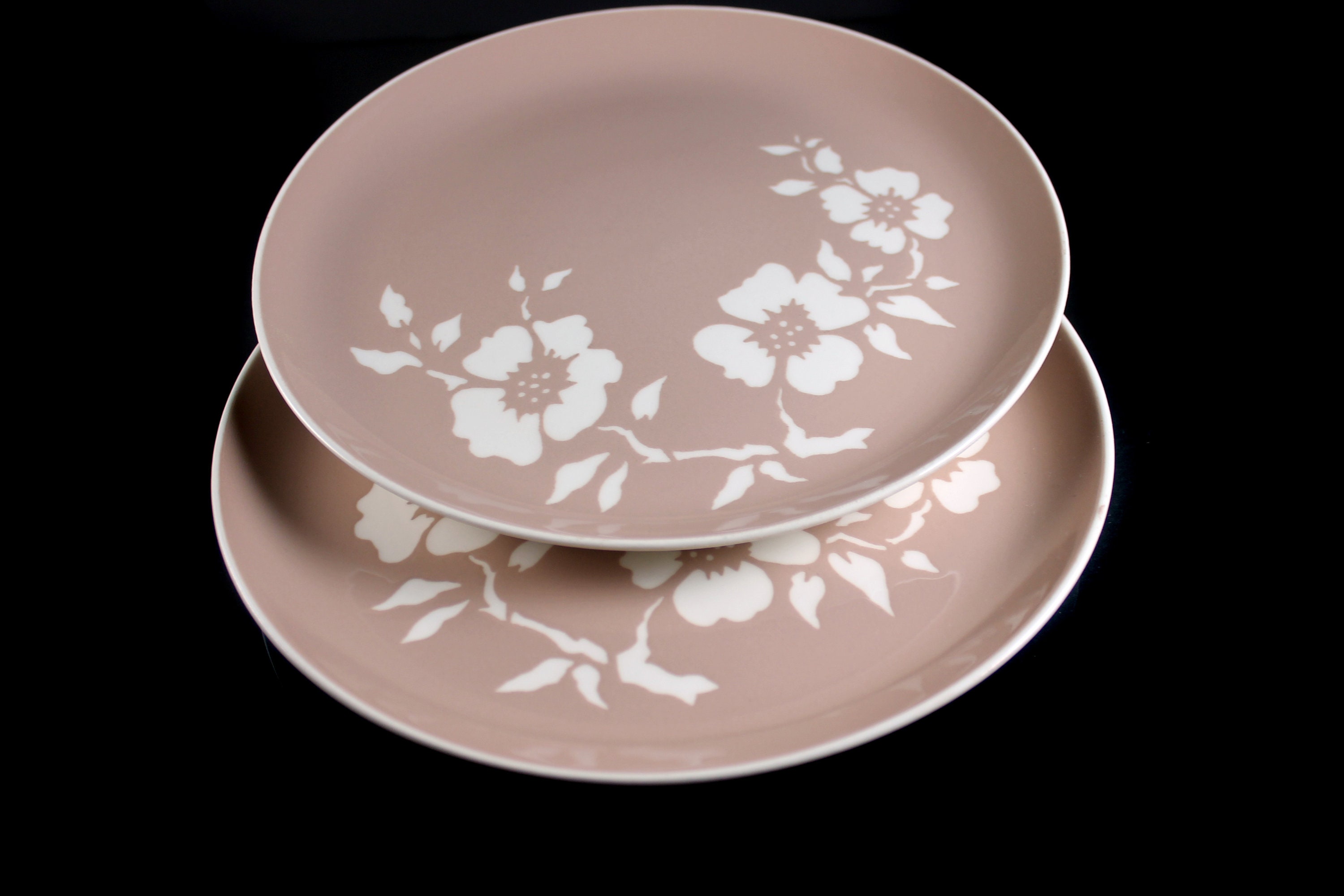 Dinner Plates, Harkerware, Dogwood Tan, Dinnerware, Set of 2, Serving