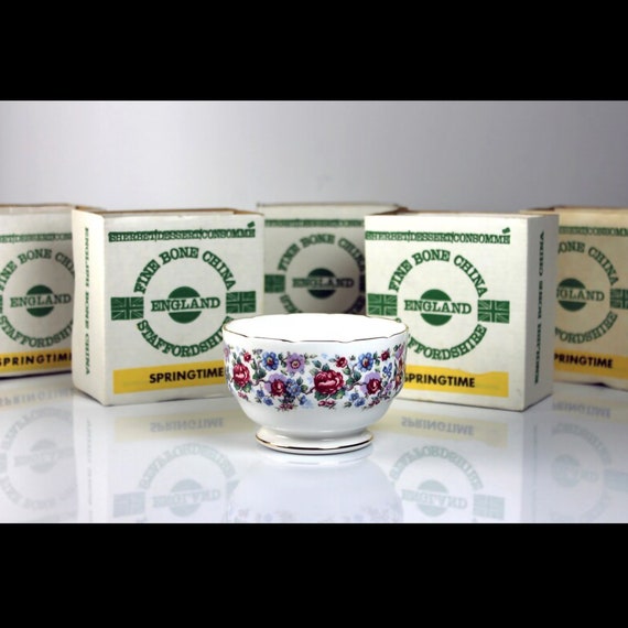 Sherbet Dessert Bowl, Staffordshire, Springtime, England, Bone China, Consomme Bowl, Set of 6, 22 Kt. Gold Trim, New in Box