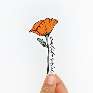 California Blooming Poppy - Vinyl Sticker - Golden Poppy- State Flower