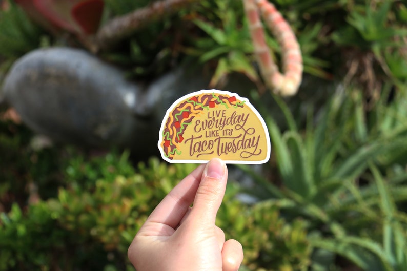 Live Everyday Like It's Taco Tuesday  Vinyl Sticker  image 3
