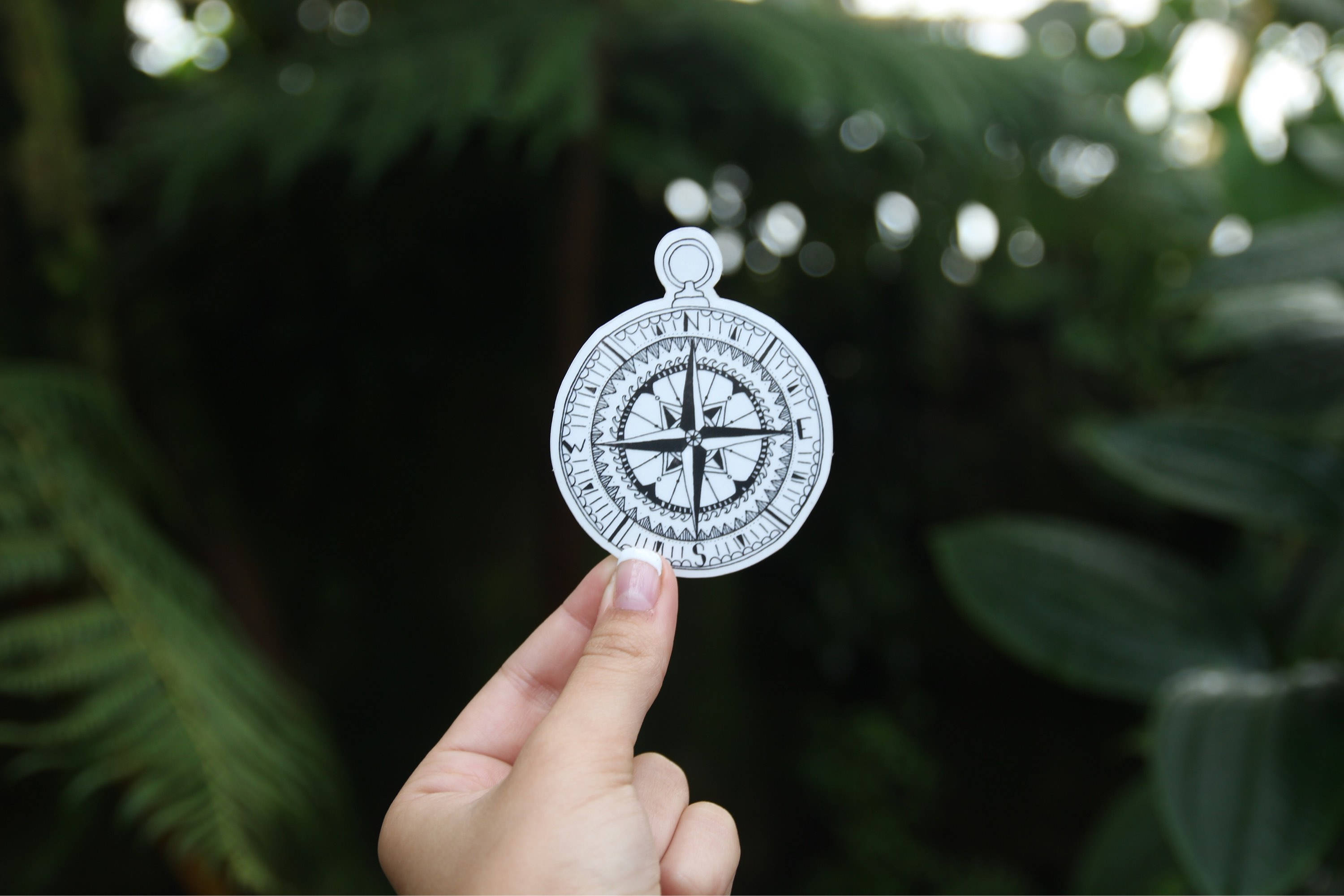 North Compass Sticker Black Compass - Vinyl Sticker - Transparent - North West South East - Etsy