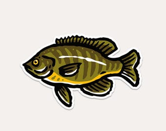 Blue Gill Fish - Vinyl Sticker - Perfect for your Car, Window, Tackle Box, Cooler - Fisherman, Fishing Hobby