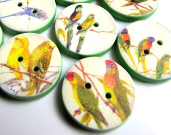 Bird Buttons - Australian Birds - handmade buttons - Australian made - Parrot - Finch - Budgerigar - Budgie - Animal Buttons - Rainbow Birds