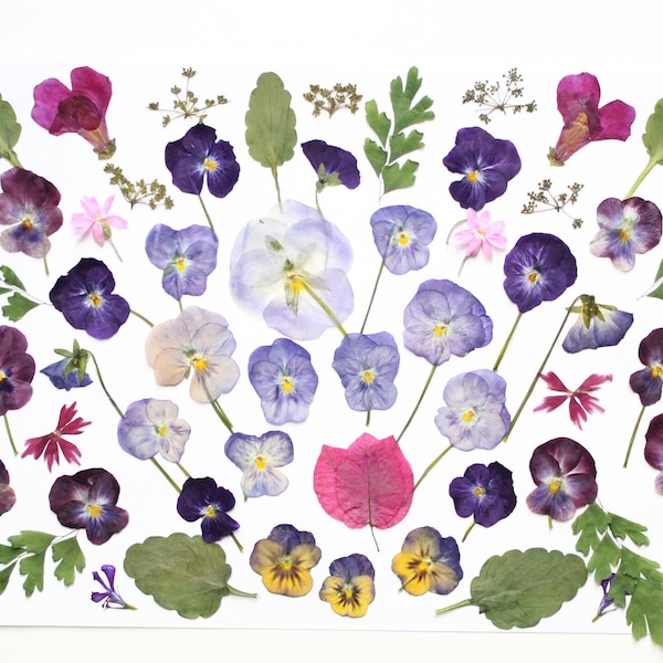 Dried Flowers Etsy Australia