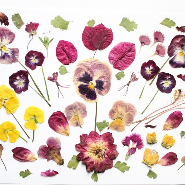 Pressed Flower Kit Etsy