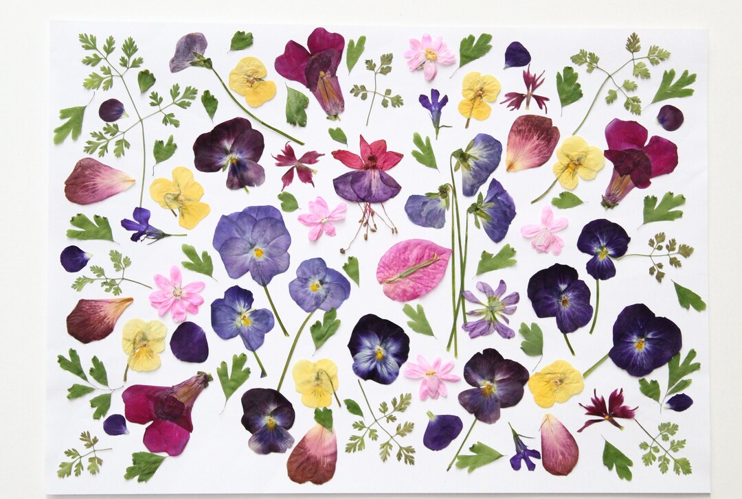 85pc Edible Flowers, Edible Cake Decorations, Edible Dried Flowers for