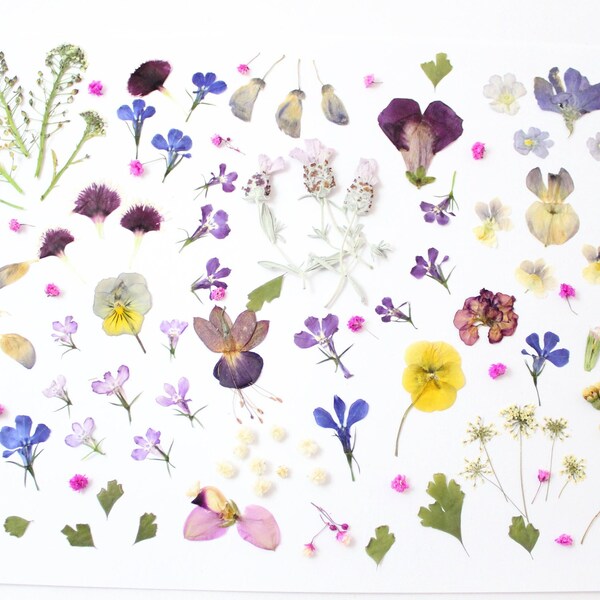 Pressed Flower Kit Etsy