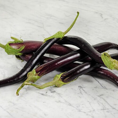 Snake Of Mugla Eggplant - Fresh Aubergine Heirloom - 10 Seeds