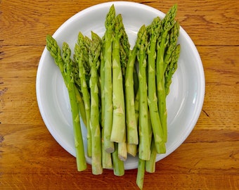 Mary Washington Asparagus - Perennial Organic Vegetable Seeds - 10 Seeds