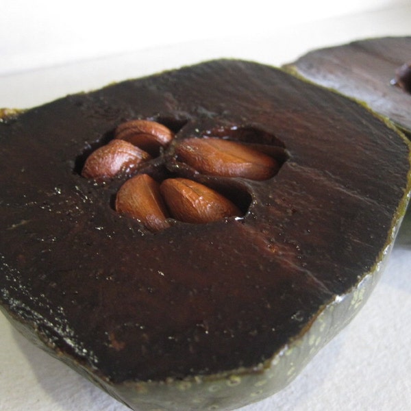 Diospyros Digyna BLACK SAPOTE Persimmon Chocolate Pudding Fruit * 5 Seeds * Very Fresh Seeds * RARE
