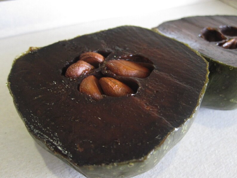 Diospyros Digyna BLACK SAPOTE Persimmon Chocolate Pudding Fruit 5 Seeds Very Fresh Seeds RARE image 1