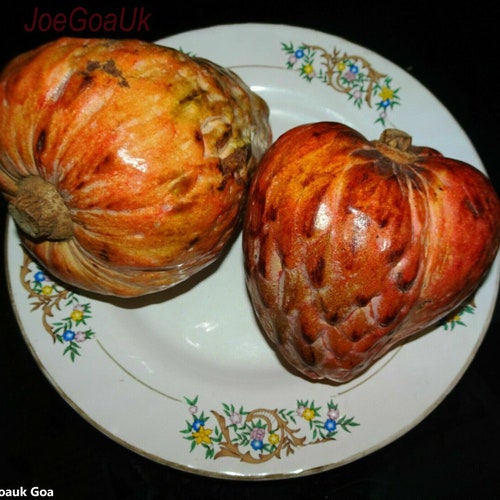 Annona Reticulata - 5 Seeds - Wild Sweetsop Custard Apple - Fresh Seeds - RARE