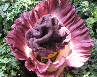 Amorphophallus Paeoniifolius * Elephant Yam * Perennial Tropical Aroid * Very Rare * 5 Seeds