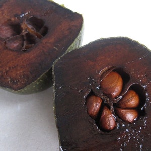 Diospyros Digyna BLACK SAPOTE Persimmon Chocolate Pudding Fruit 5 Seeds Very Fresh Seeds RARE image 3