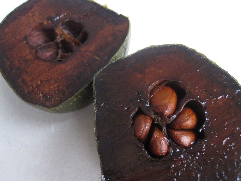 Diospyros Digyna BLACK SAPOTE Persimmon Chocolate Pudding Fruit 5 Seeds Very Fresh Seeds RARE image 3