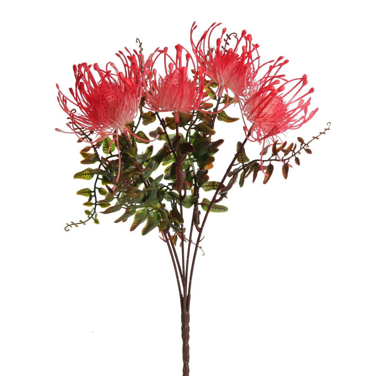 Native Red Pink Pincushion Protea Flower Spray Etsy Australia