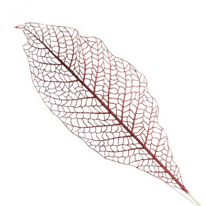 Red Mesh Palm Leaf