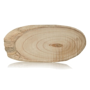 Oval Natural Wood Timber Slice
