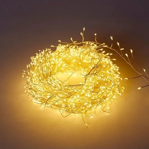 May include: A string of warm white fairy lights, coiled into a circle. The lights are on a thin wire and have small, clear bulbs.