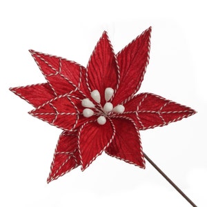 Roter Weihnachtsstern (Poinsettia) Blütenstengel mit Schnurborte