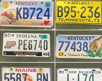 Vintage Kentucky, Minnesota, Maine, Indiana, New Brunswick License Plates, your choice