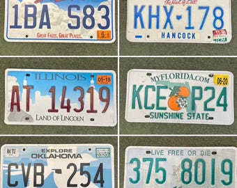 Vintage South Dakota, Ohio, Illinois, Florida, Oklahoma, New Hampshire License Plates, your choice