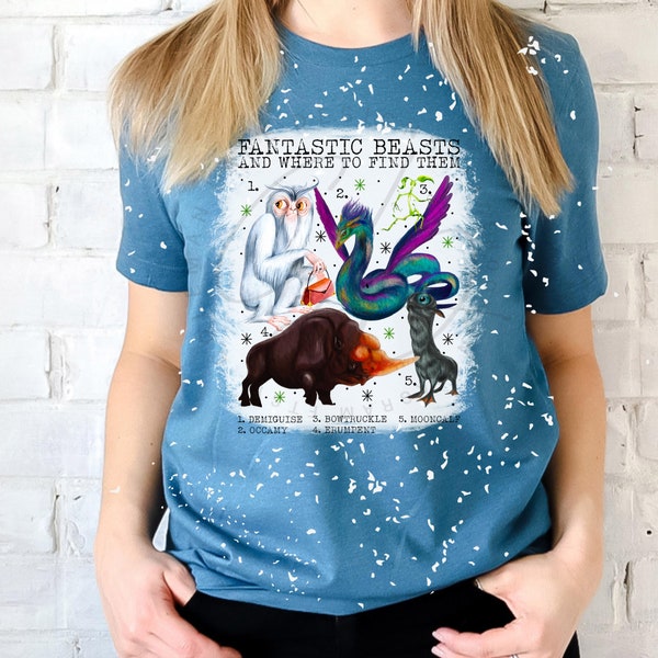 Beasts Creatures and Find(ing) Them Fan Art | Super Soft Bleached Graphic T-Shirt | Heather Maroon or Teal